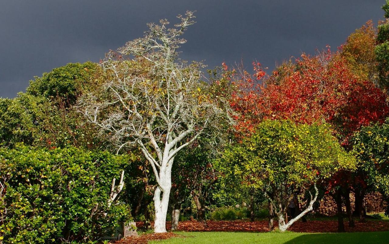 Mangawhai Bay B&B Omokoroa Extérieur photo